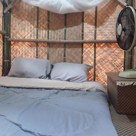 Coc Guest House & Hostel 清邁 外观 照片