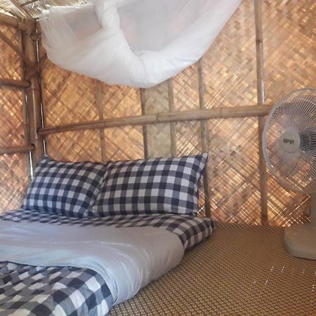 Coc Guest House & Hostel 清邁 外观 照片