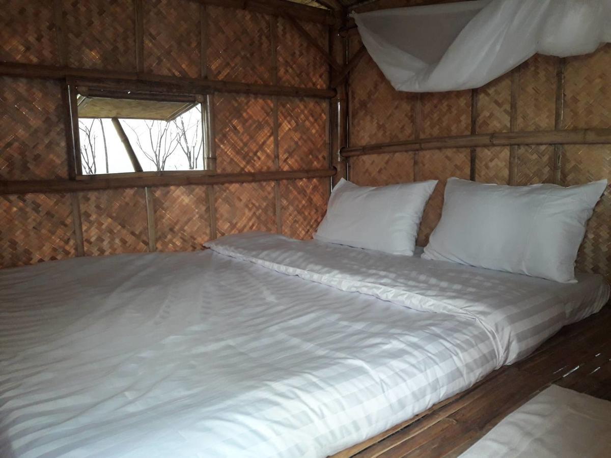 Coc Guest House & Hostel 清邁 外观 照片