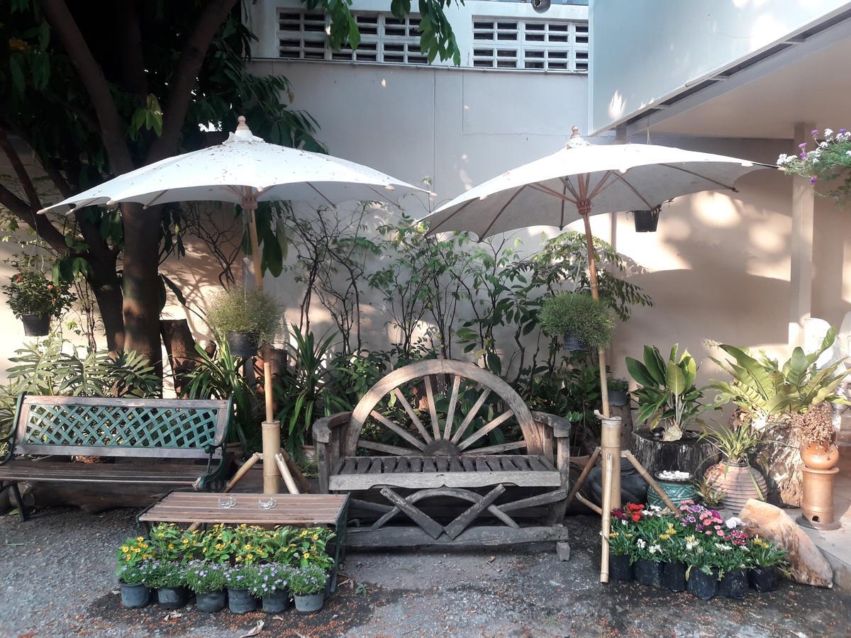Coc Guest House & Hostel 清邁 外观 照片