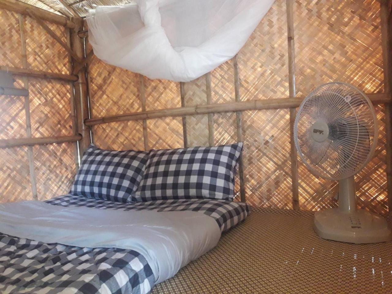 Coc Guest House & Hostel 清邁 外观 照片